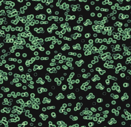 Flotex created by sottsass