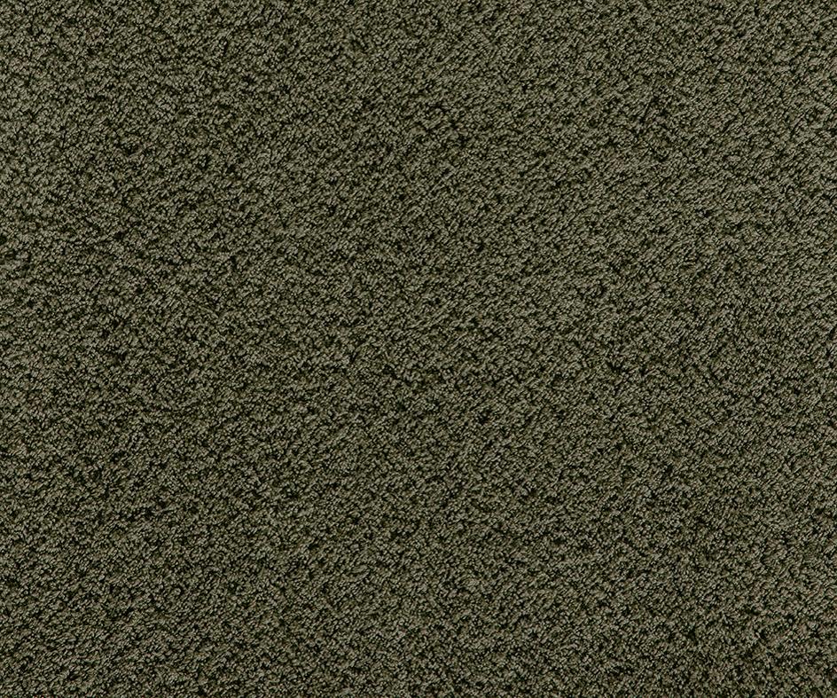Cashmere Velvet