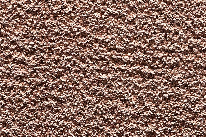 Bloom – Image 6